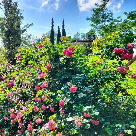 Villupa Country House- Monte Codruzzo