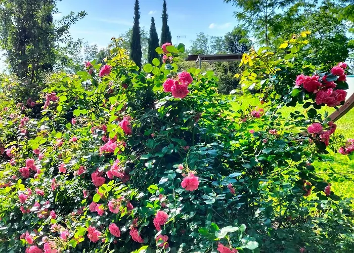 Villupa Country House- Monte Codruzzo