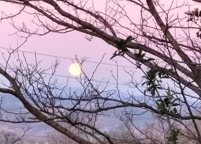 Villupa Country House- *